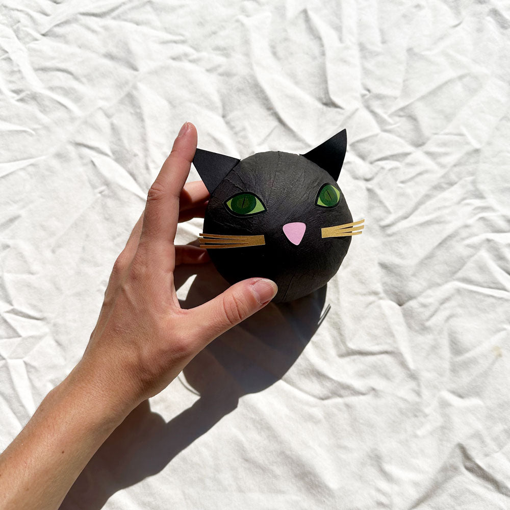 Surprise Black Cat Ball